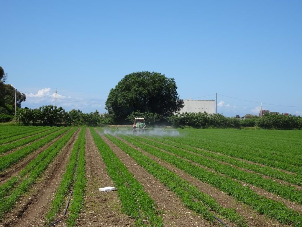 Ein Traktor versprüht auf dem Feld Pestizide.